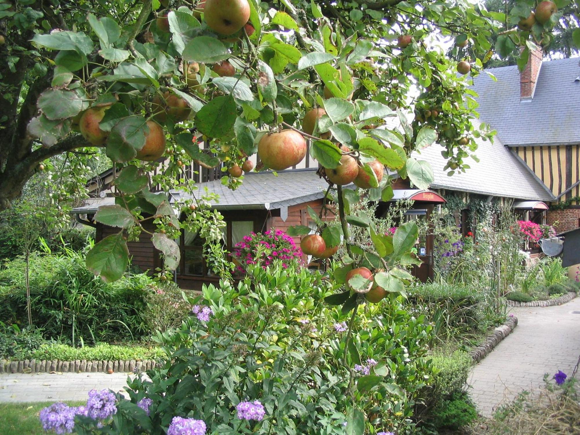 Auberge Du Val Au Cesne Saint-Clair-sur-les-Monts Exteriör bild